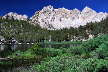 inyo national forest