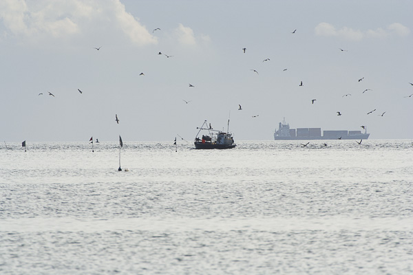 Zatoka Gdańska 
kuter rybacki 
preka, sztenderek, boja znakowa 
Hel