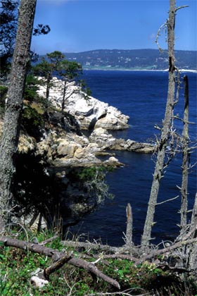 Rezerwat Stanowy Point Lobos  Point Lobos State Reserve